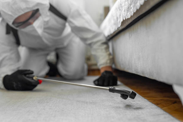 Professional Bed Bug Control technician working in Woodway, WA