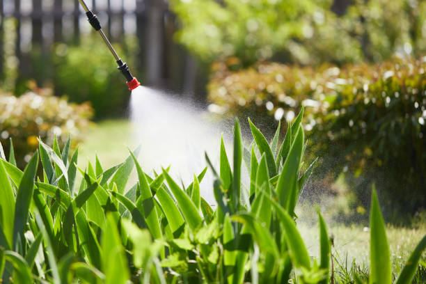 24/7 Emergency Bed Bug Control experts in Woodway, WA