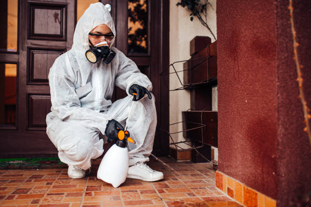 Reliable Bed Bug Control contractor in Woodway, WA by Nex Pest Control