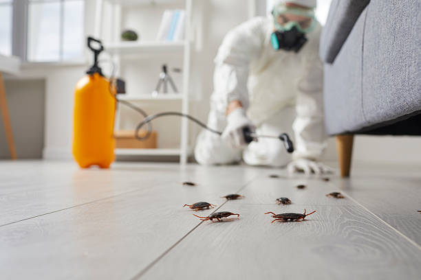Trusted Emergency Pest Control service in Woodway, WA - Nex Pest Control
