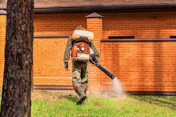 Trusted Cockroach Control service in Woodway, WA - Nex Pest Control